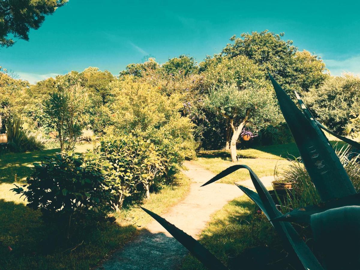 Quinta Das Almas São Roque do Pico Kültér fotó