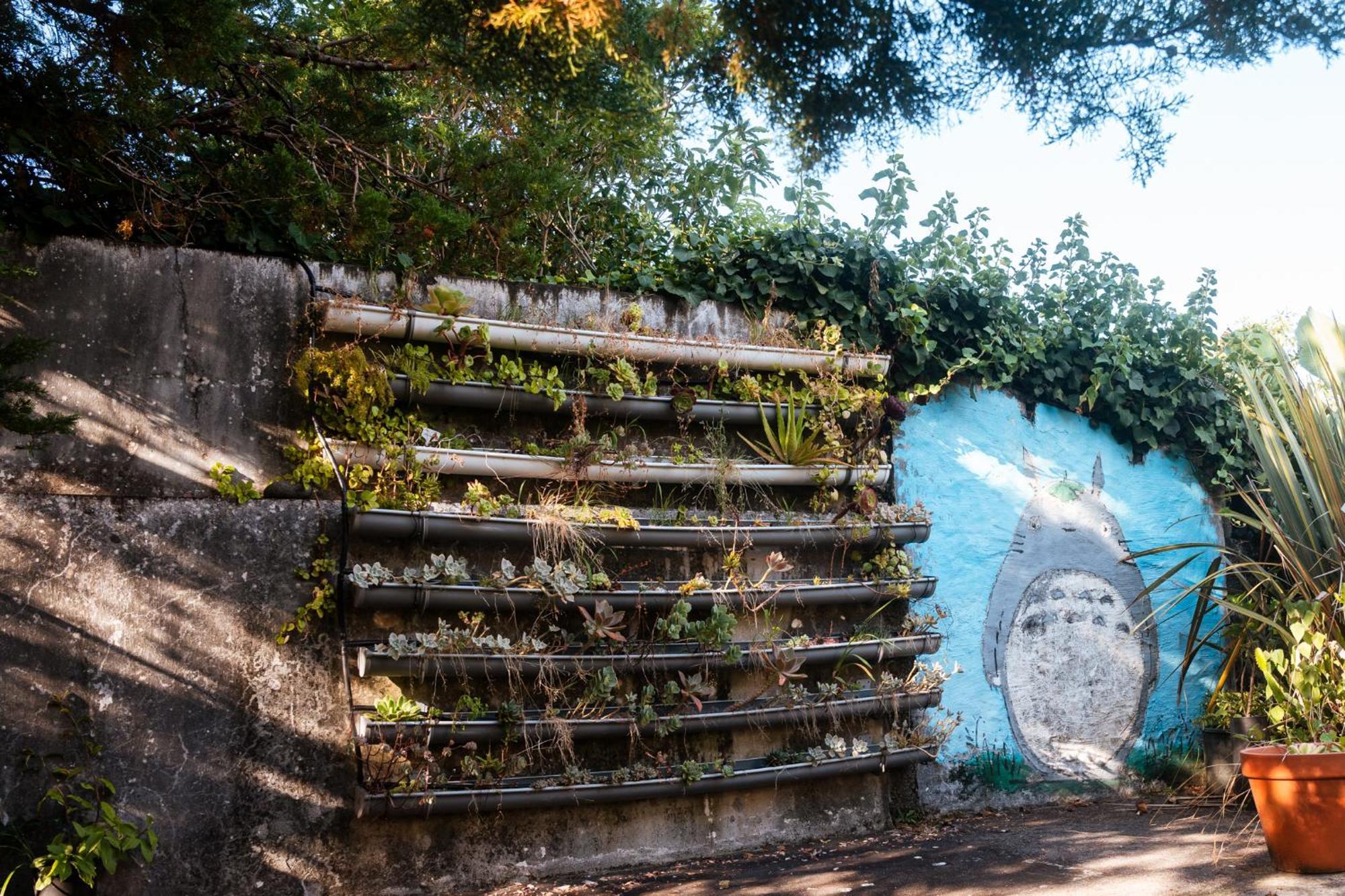 Quinta Das Almas São Roque do Pico Kültér fotó